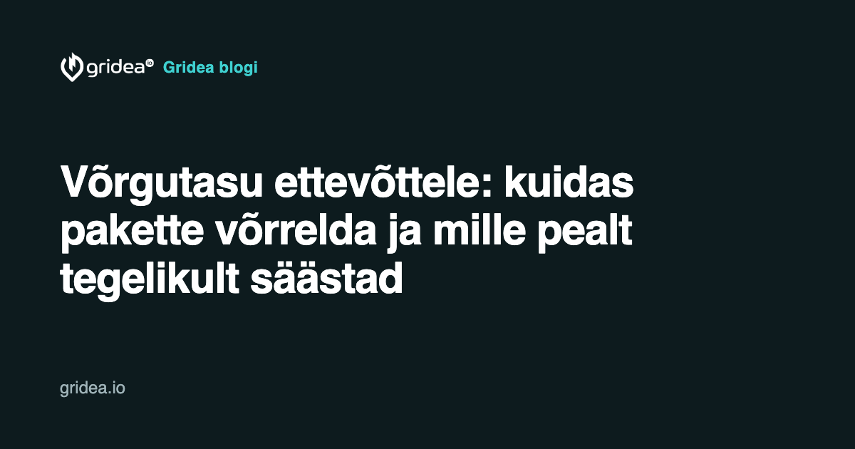 Võrgutasu ettevõttele: kuidas pakette võrrelda ja mille pealt tegelikult säästad